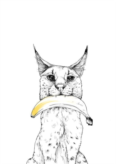 Banana Bobcat Matte Art Print Food Fur & Feathers A4 (21 X 29.7 cm) Art Print