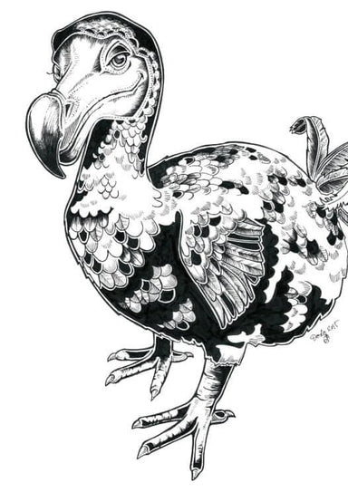 Dodo Matte Art Print Ink Birds A5 (14.8 X 21 cm) Art Print
