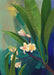 Plumeria (Frangipani) Art Print Tree Flowers Art Print