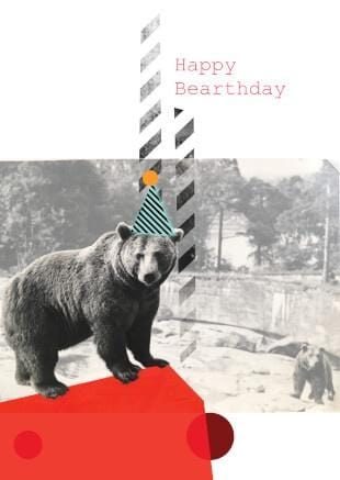Happy Bearthday Greeting Card Food, Fur & Feathers Greeting Cards Card
