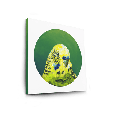 Green Budgie Canvas Print Exotic Bird Paintings Canvas Print