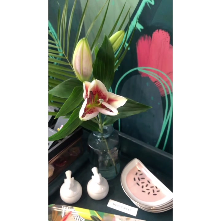 picture of FlowerPlantGreen1905445342949942