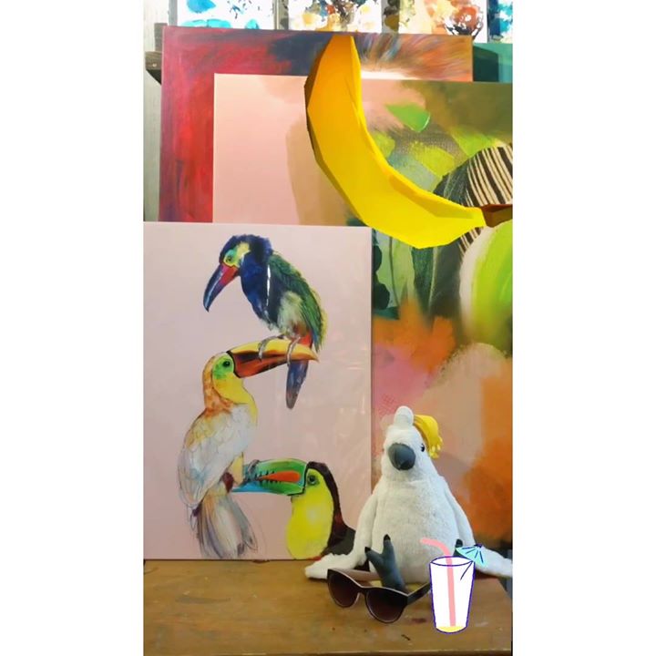 picture of BirdYellowParrot403772213927454