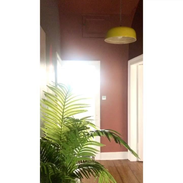 picture of PropertyLightLighting1730186833809128