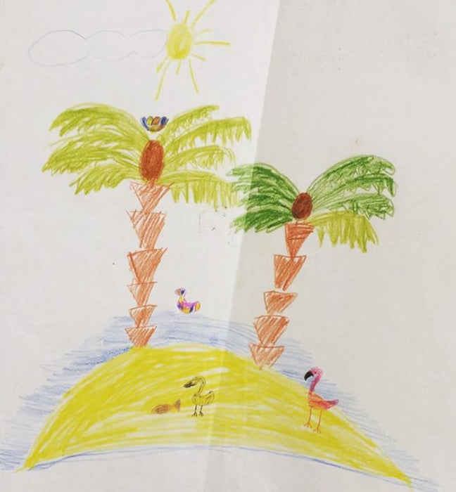 picture of Tree-Illustration-Drawing-Botany-Art-Child art-Palm tree-Sketch-Plant-1572590729568740