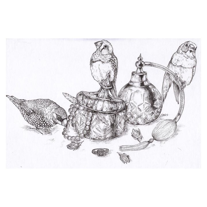 Image of Drawing-Sketch-Illustration-Tortoise-Teapot-Coloring book-Line art-Serveware-Tableware-1598497916978021