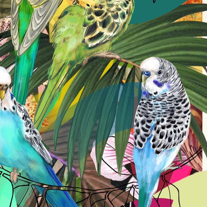 image showing Bird-Budgie-Parakeet-Parrot-Beak-Organism-Macaw-Adaptation-Illustration-26245-110870