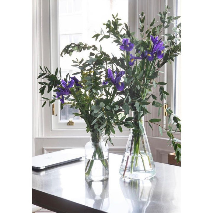 Image of Flower-Plant-Vase-Purple-Flowerpot-Houseplant-Petal-Window-Violet-491801939624739
