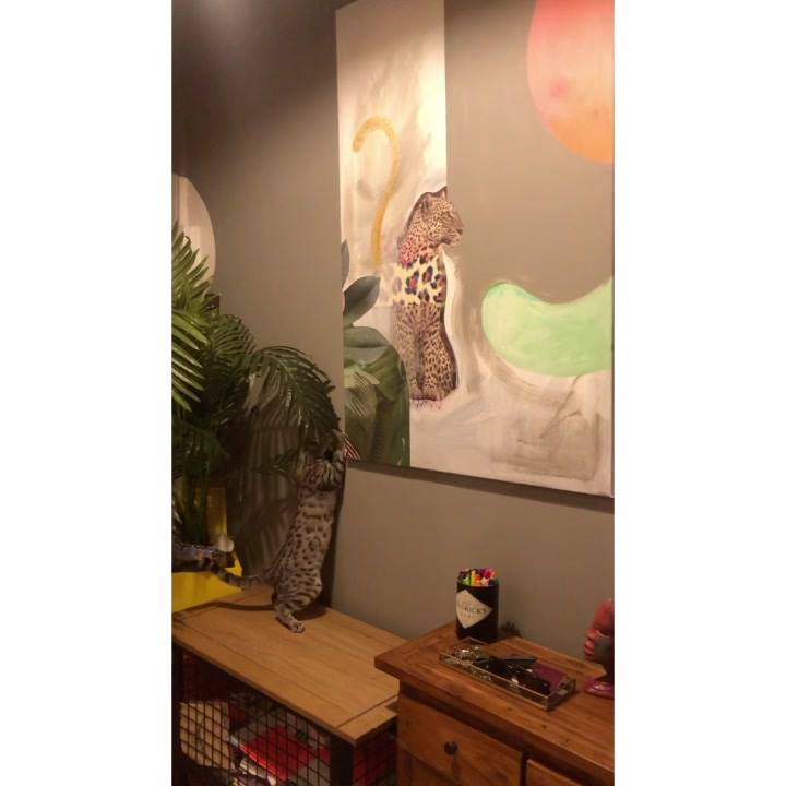 picture of Interior designRoomWall1813950655432745