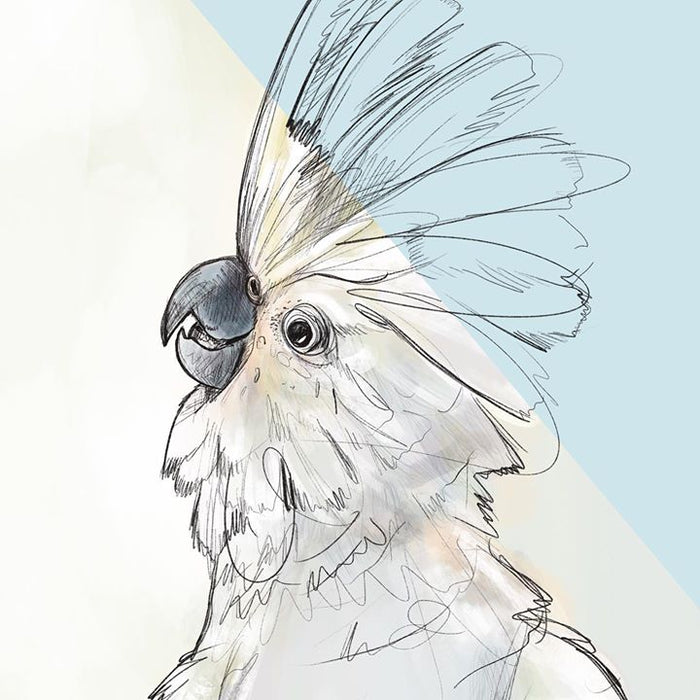 picture of Drawing-Sketch-Wing-Illustration-Bird-Cockatoo-Cockatiel-Beak-Feather-1287632391397910