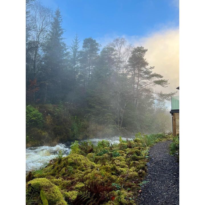 Image of Sky-Plant-Cloud-Natural landscape-Tree-Grass-Evergreen-Landscape-Shrub-532304972241102