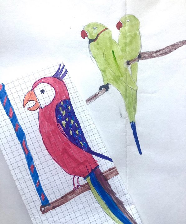 Image of Bird-Parrot-Budgie-Parakeet-Macaw-Beak-Watercolor paint-Illustration-Drawing-1195324867295330