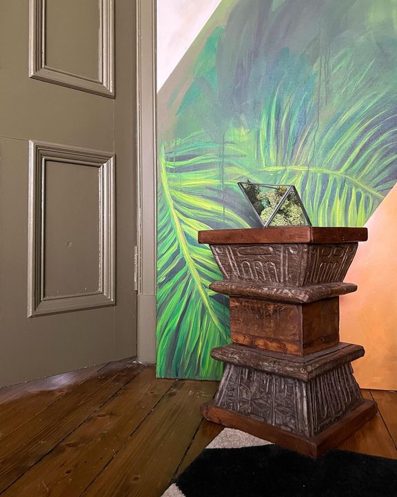 picture of Flowerpot-Plant-Building-Wood-Houseplant-Interior design-Door-House-Wood stain-486965483441718.jpg