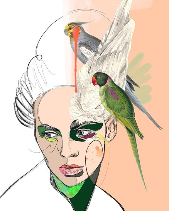 Image of Bird-Illustration-Parrot-Wing-Beak-Parakeet-Drawing-Art-Budgie-1201105653383918