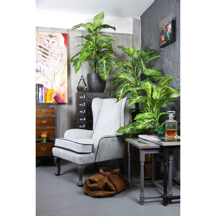 picture of Plant-Property-Building-Furniture-Houseplant-Comfort-Interior design-Flowerpot-Floor-1823075601186917.jpg