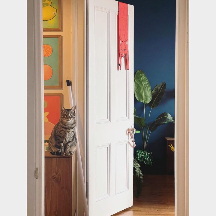 Image of Door-Wood-Window-Interior design-Fixture-Plant-Rectangle-Home door-Building-648469907291274