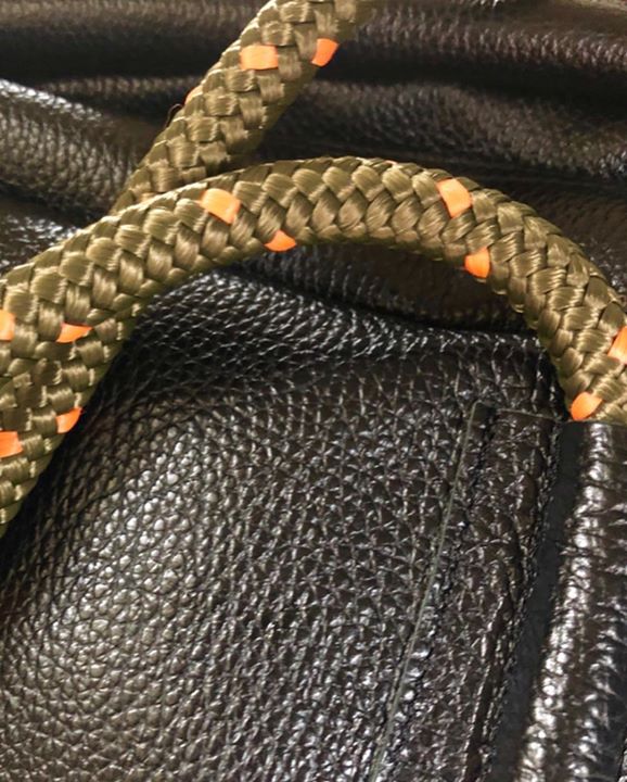 Image of Kingsnake-Snake-Colubridae-Scaled reptile-Reptile-Elapidae-Serpent---1216724435155373