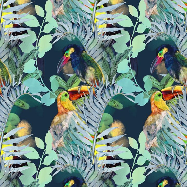 Image of Bird-Beak-Piciformes-Feather-Wildlife-Plant-Illustration-Toucan-Pattern-1568600719967741