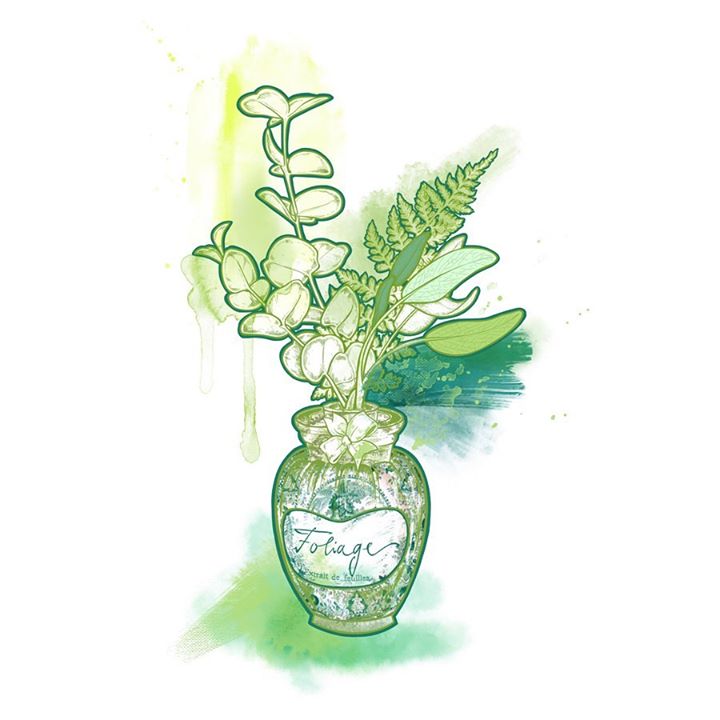 Image of Flowerpot-Plant-Flower-Leaf-Houseplant-Vase-Plant stem---1569984433162703