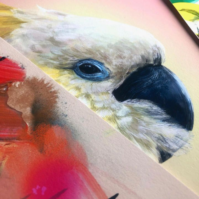 picture of Bird-Eye-Cockatoo-Vertebrate-Beak-Parrot-Human body-Mammal-Iris-2108533502641124.jpg
