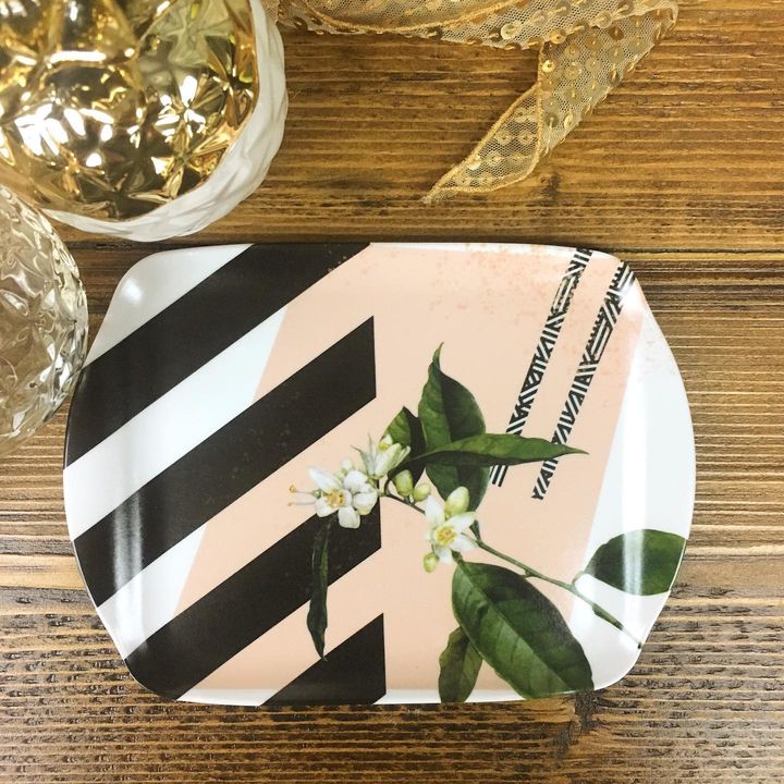 Image of Plate-Dishware-Placemat-Leaf-Platter-Table-Tableware-Rectangle-Plant-1753113211516490