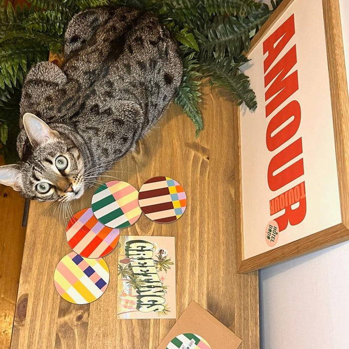 Image of Christmas ornament-Wood-Cat-Carnivore-Felidae-Whiskers-Holiday ornament-Toy-Plant-780326450772285