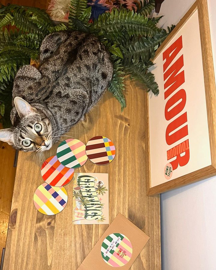 Image of Christmas ornament-Wood-Cat-Carnivore-Felidae-Whiskers-Holiday ornament-Toy-Plant-780326450772285