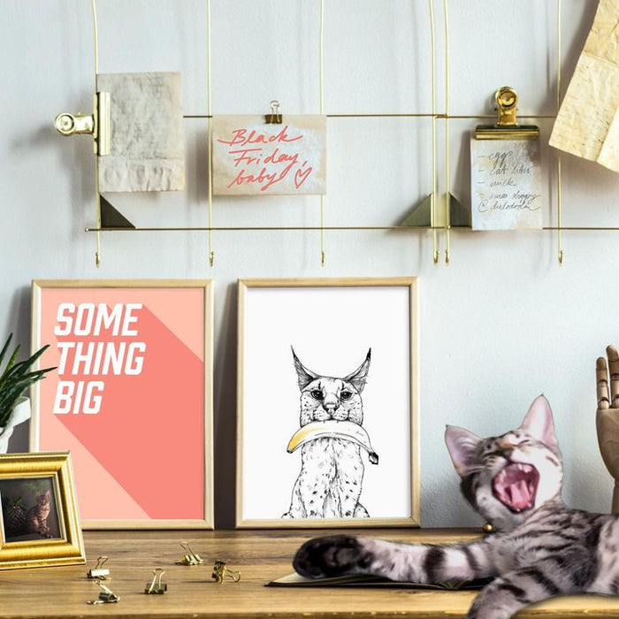 picture of Shelf-Wall-Pink-Furniture-Room-Interior design-Table-Cat-Sticker-1765766856917792.jpg
