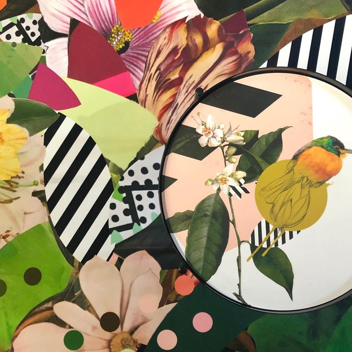 Image of Plant-Botany-Green-Leaf-Petal-Textile-Creative arts-Art-Bird-1937014603126349