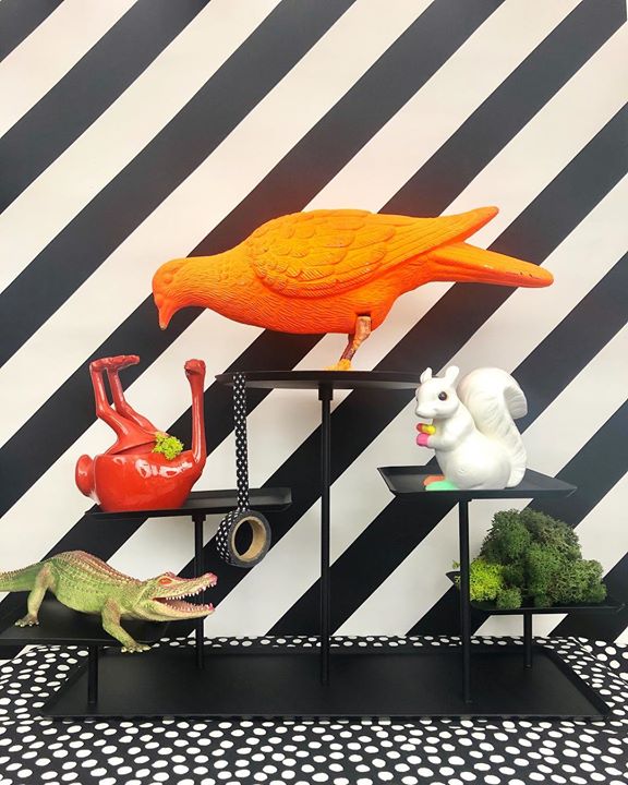 picture of Orange-Bird-Illustration-Parrot-Art-Perching bird----1214377862056697