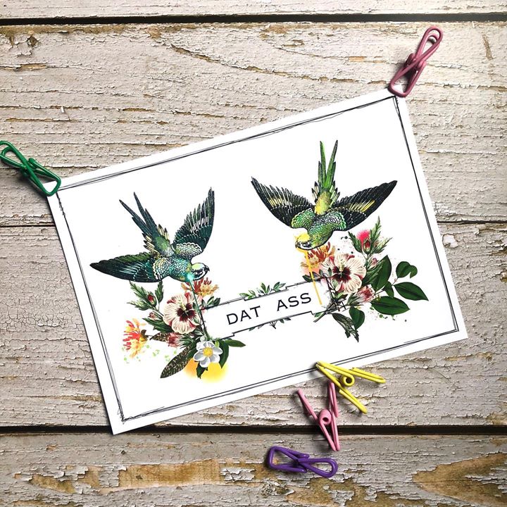 picture of Hummingbird-Bird-Plant-Font-Flower-Wildflower----1624551541039325.jpg