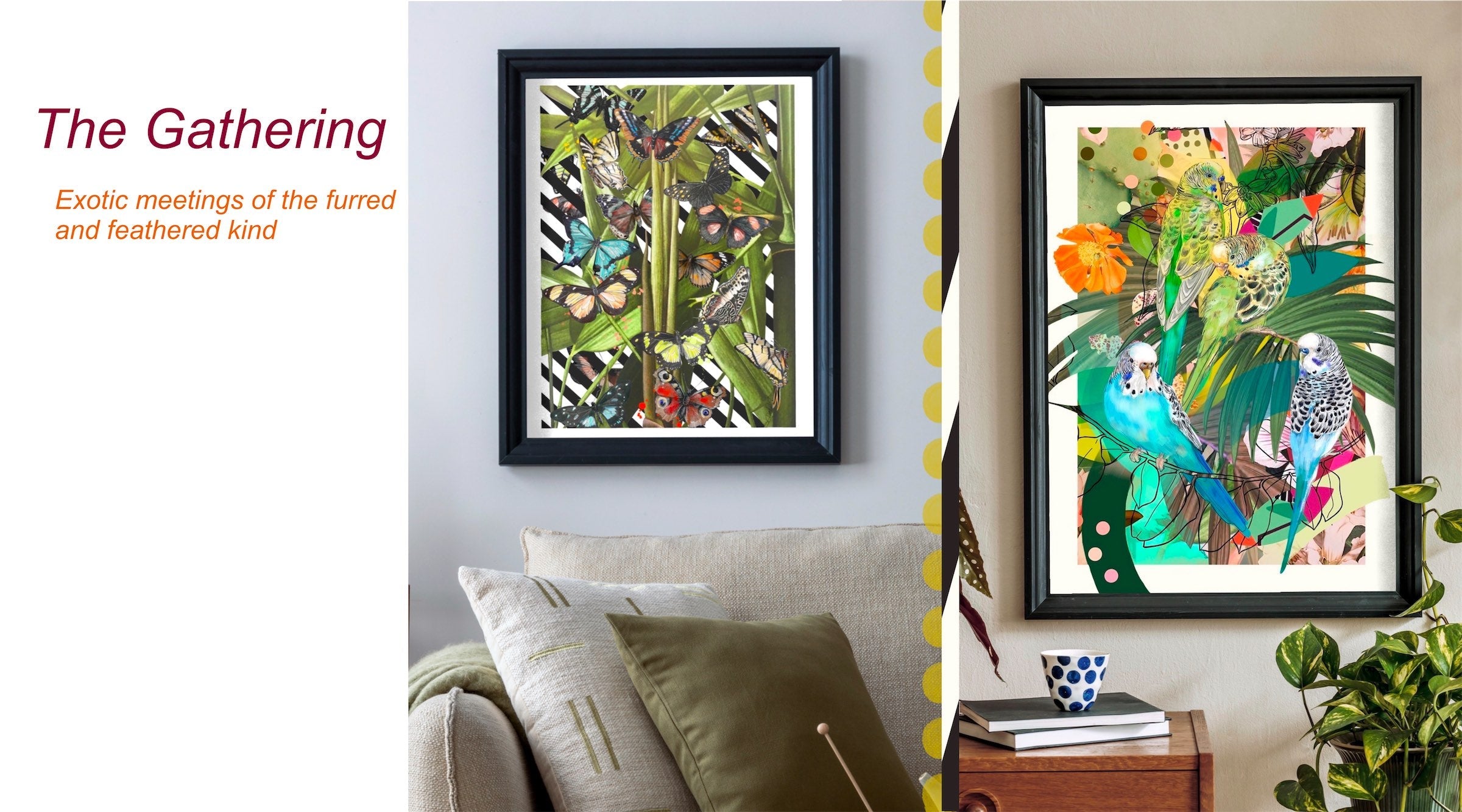 Framed artwork of Birds & Butterflies