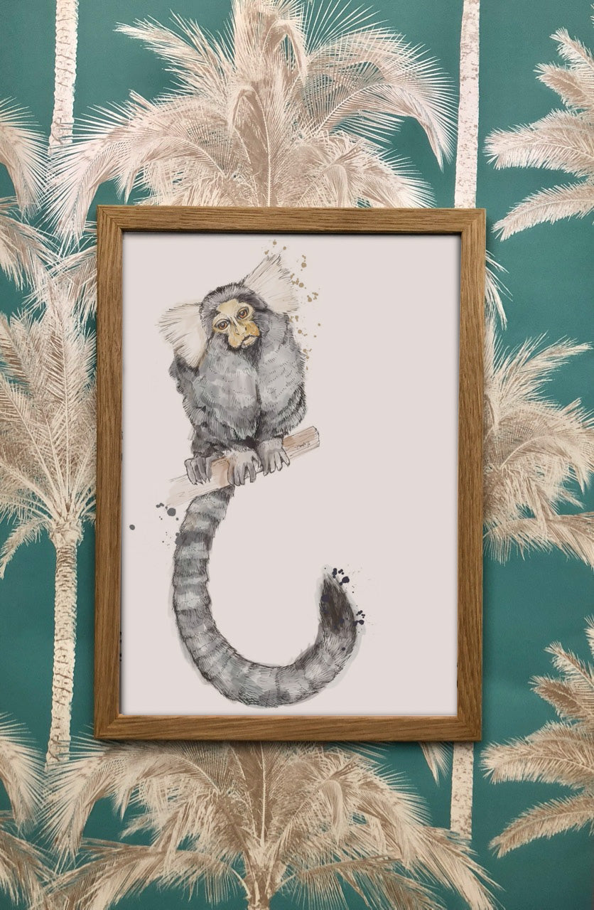 Fluffy Tails & A Sloth