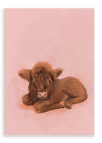 Baby Kyloe Giclée Canvas Print Food Fur & Feathers 28"x40"(70x100 cm) Canvas Print