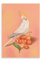 Cherry Cockatiel Giclée Canvas Print Sticky Beaks 28"x40"(70x100 cm) Canvas Print