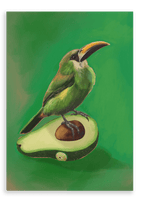 Avocado Aulacorhynchus (Green Toucanet) Giclée Canvas Print Sticky Beaks 28"x40"(70x100 cm) Canvas Print