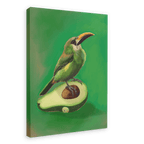 Avocado Aulacorhynchus (Green Toucanet) Giclée Canvas Print Sticky Beaks 28"x40"(70x100 cm) Canvas Print