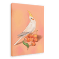 Cherry Cockatiel Giclée Canvas Print Sticky Beaks 28"x40"(70x100 cm) Canvas Print