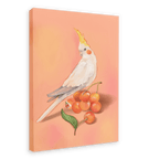 Cherry Cockatiel Giclée Canvas Print Sticky Beaks 28"x40"(70x100 cm) Canvas Print