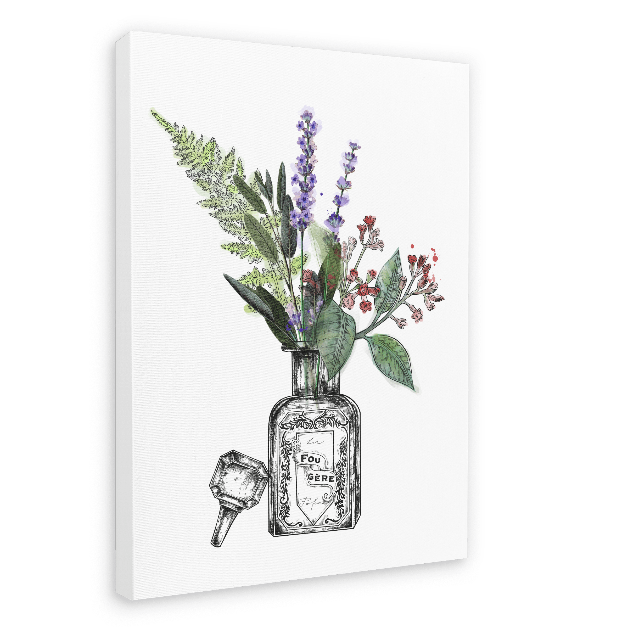 Fougere Canvas Print Les Parfums 28