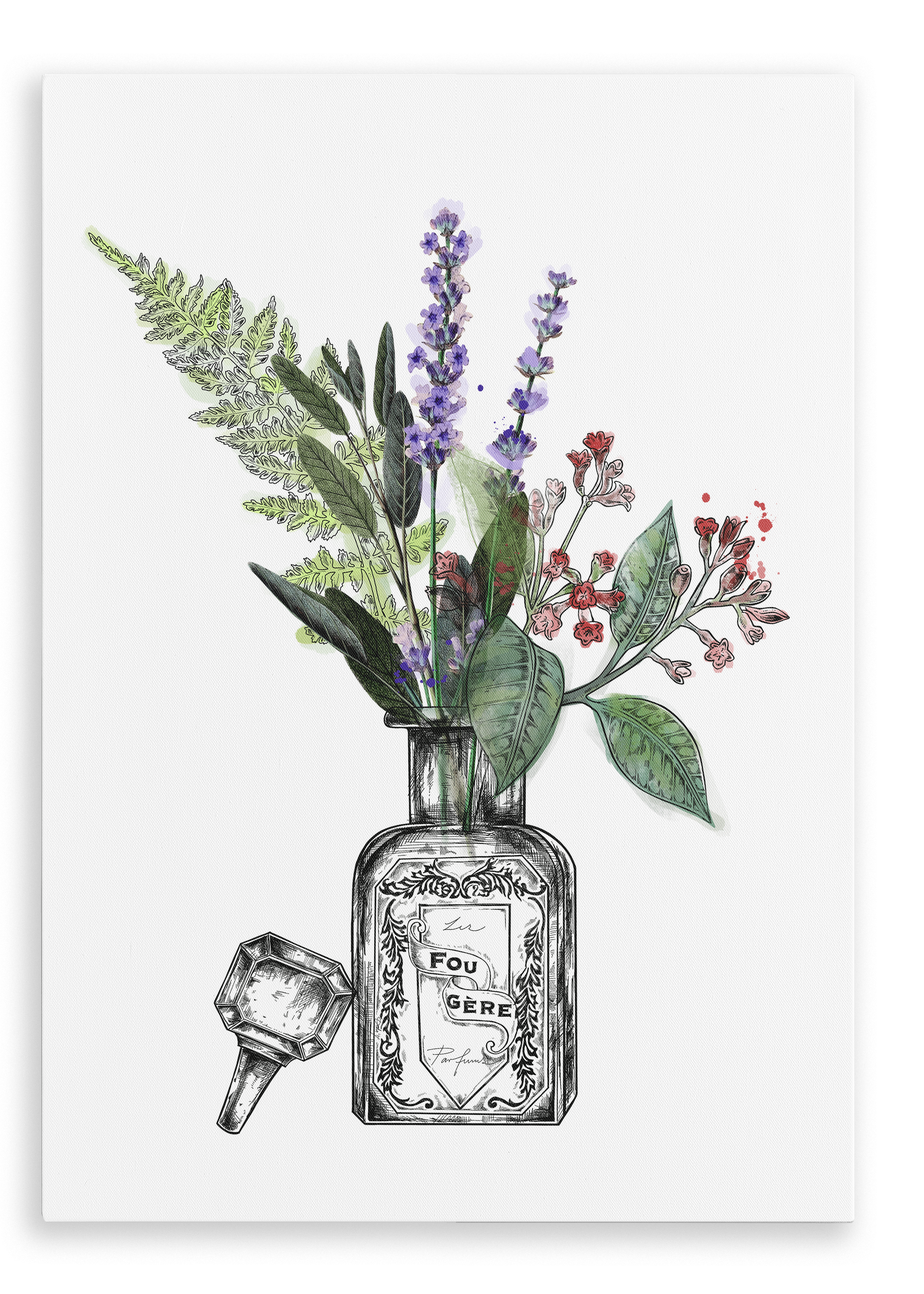 Fougere Canvas Print Les Parfums 28