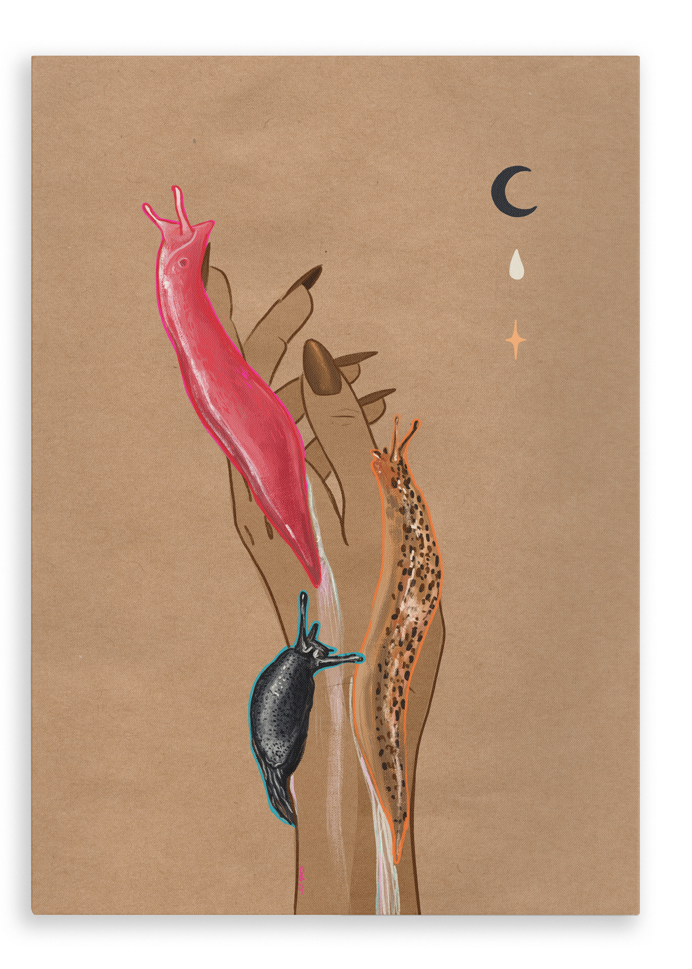 The Midnight Slugs Matte Canvas Print by Beauty and the Beastie shows a hand with long nails holding three vibrant slugs—Black Arion, leopard slug, and Australian pink slug—with celestial accents on a brown background.