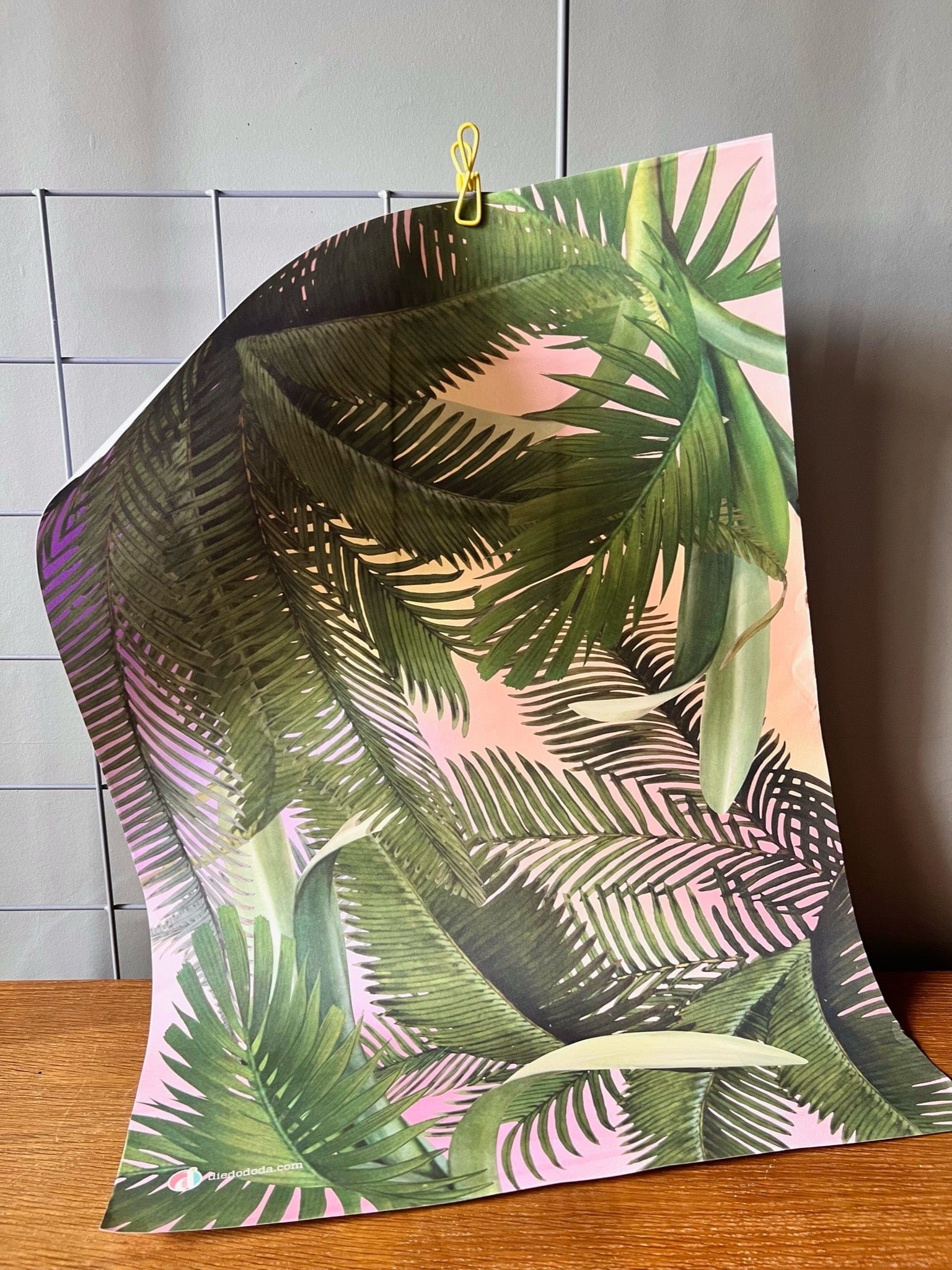 Fougere Wrapping Paper diedododa Fougere Wrapping Paper