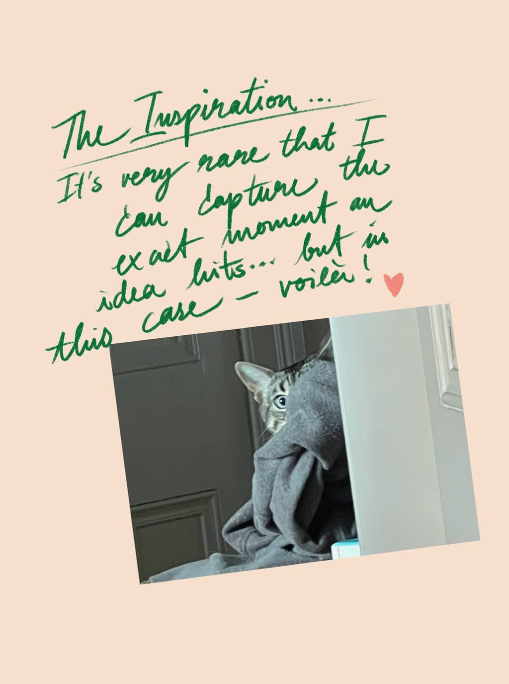 The Bodega Bounty Giclée Art Print by Hôtel Dodo features a gray bodega cat peeking from behind a gray blanket by a white wall, with handwritten text above the image.