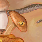 Illustration of a yellow ladybug with black spots crawling on a brown mushroom with a stem and branch in the background, reminiscent of the Earthly Delights Giclée Art Print by Kitsch Kanaveral, evoking the charm of a harvest festival.