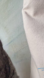 But Mostly I Like Cats Shopping & Beach Bag