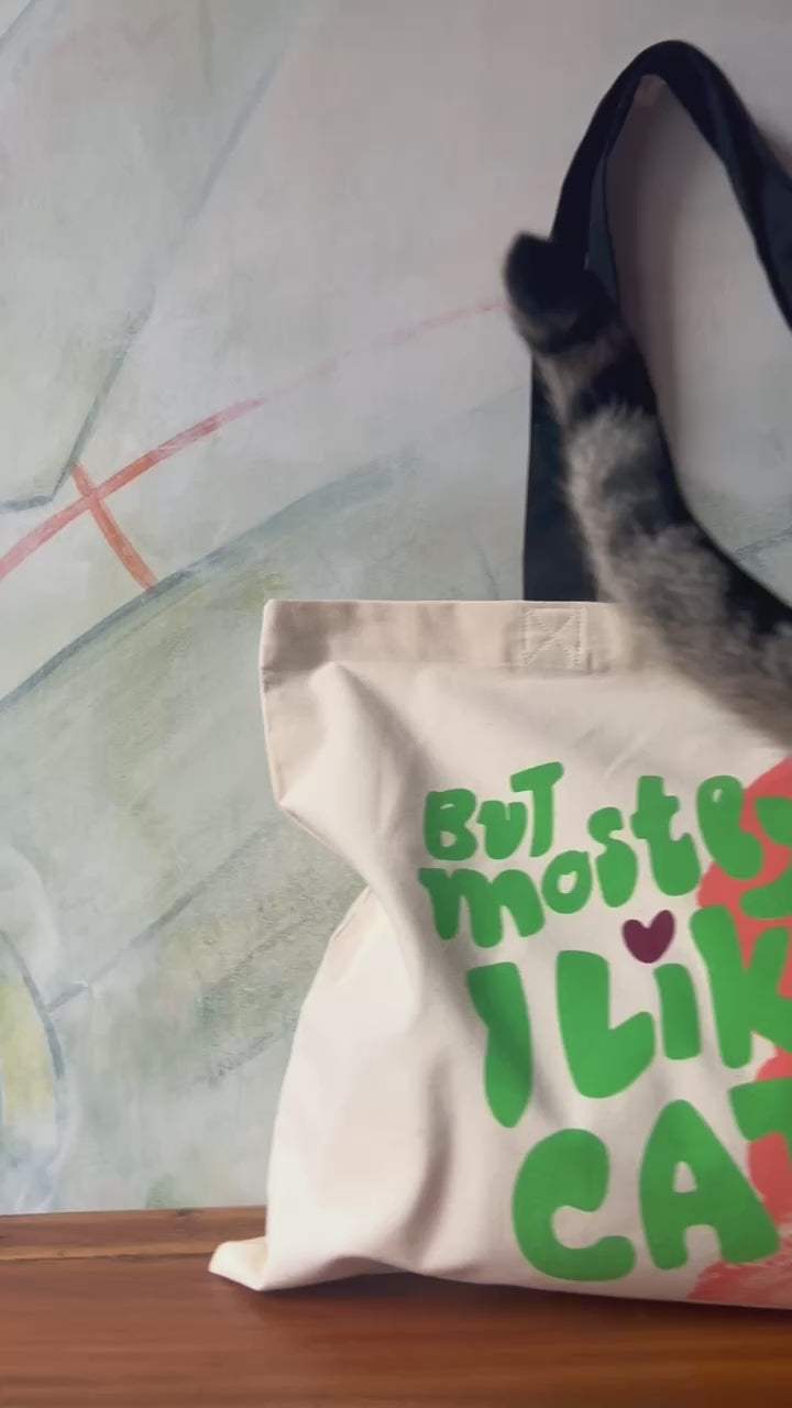 But Mostly I Like Cats Shopping & Beach Bag