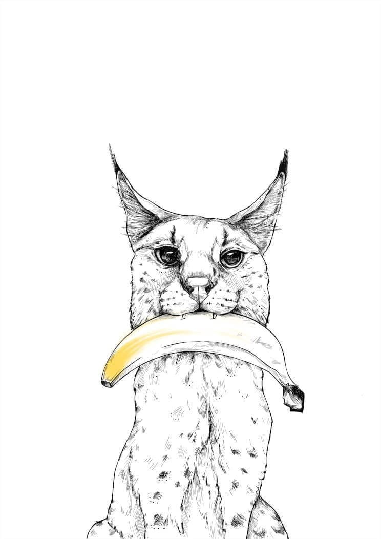 Banana Bobcat Matte Art Print Food Fur & Feathers A4 (21 X 29.7 cm) Art Print