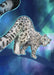 Blue Snow Leopard Giclée Art Print Leovely Leopards Art Print