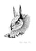 Eager Eagle Owl Matte Art Print Ink Drawings A5 (14.8 X 21 cm) Art Print